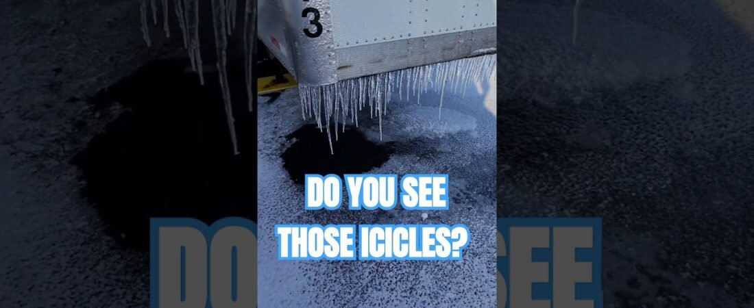 I FOUND THE MOST EXCITING PART OF WINTER! You won’t find this fun anywhere else.