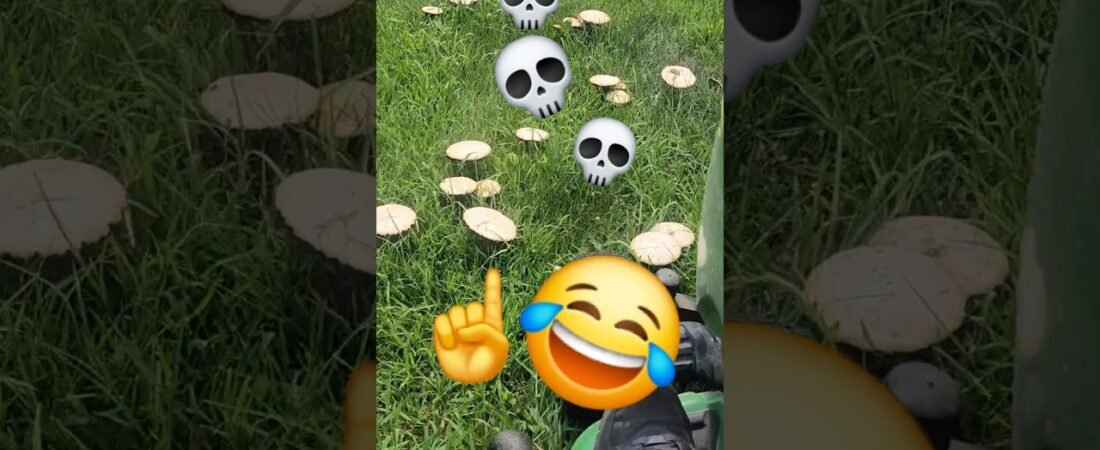 I KILLED ALL THE SMURFS! GARGAMEL AND GOT NUTHIN ON ME!