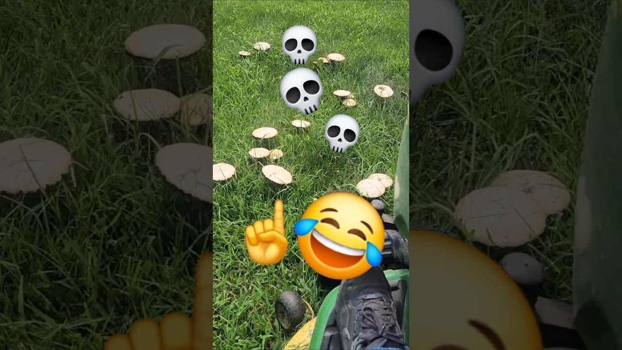 I KILLED ALL THE SMURFS! GARGAMEL AND GOT NUTHIN ON ME!