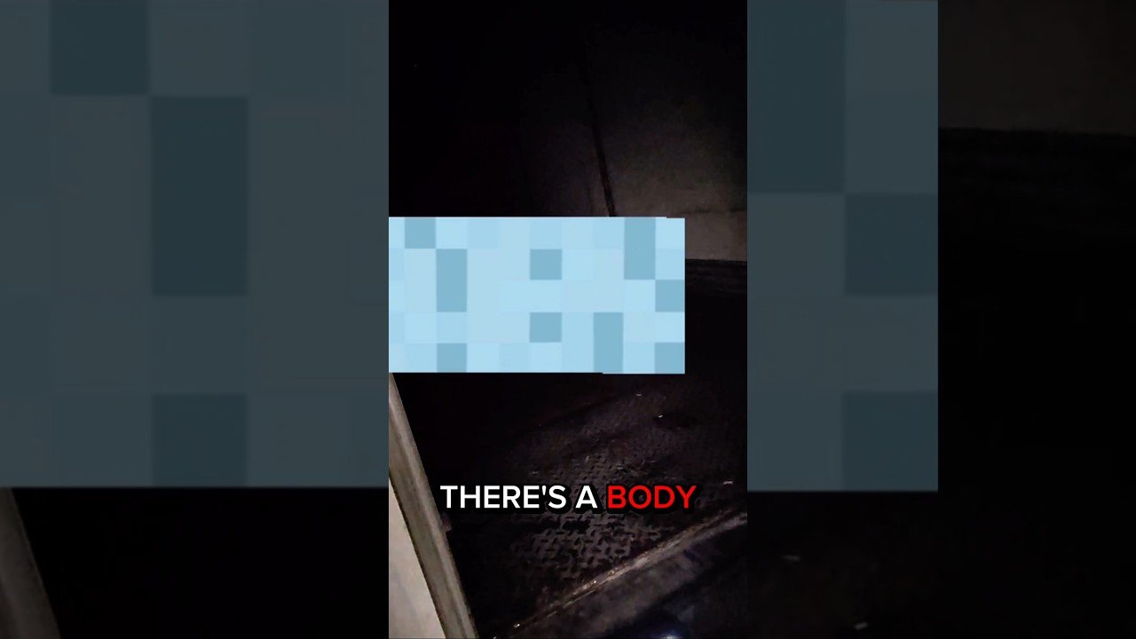 I OPENED THE TRAILER AND YOU WOULDN’T BELIEVE WHAT I FOUND INSIDE LAST NIGHT IF I DIDN’T RECORD IT.