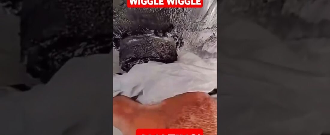 I bet you aint seen nothing like this before Driver! Watch this bad boy wiggle wiggle!