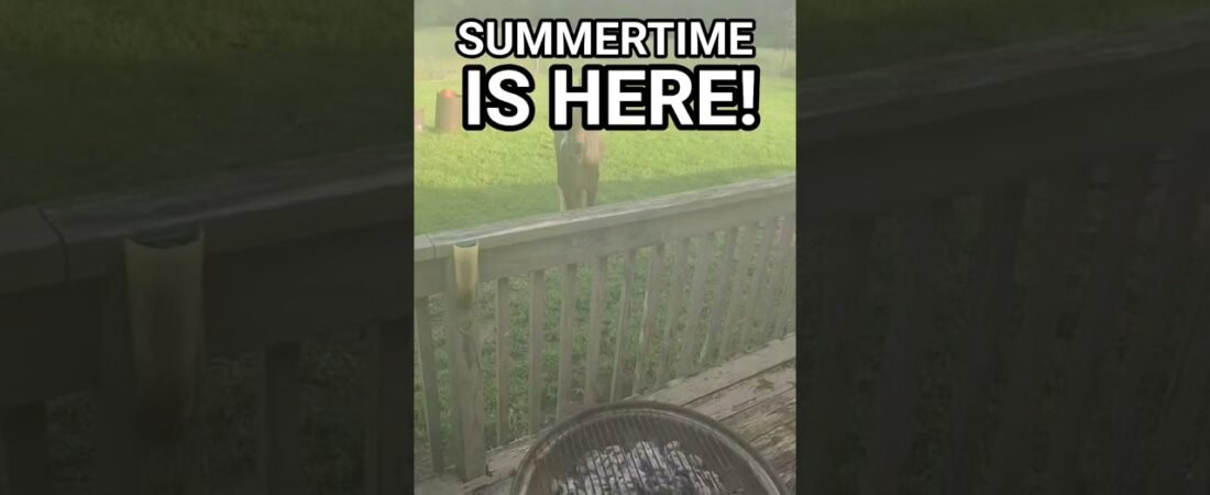 ITS SUMMERTIME, DRIVERS! HOW DO YOU SPEND YOURS?