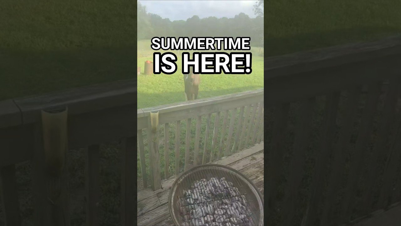 ITS SUMMERTIME, DRIVERS! HOW DO YOU SPEND YOURS?