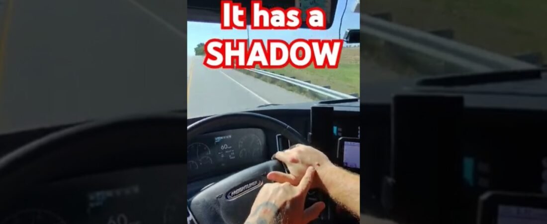 It has its own SHADOW! Is this bad? Am I going to Survive? WHAT EVEN IS IT?