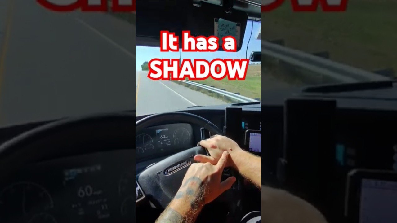 It has its own SHADOW! Is this bad? Am I going to Survive? WHAT EVEN IS IT?