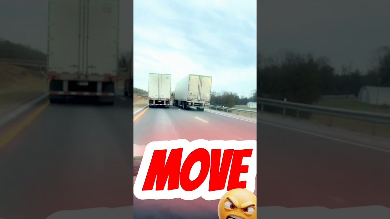 JUST STAY CALM AND THEY WILL MOVE. NOBODY NEEDS TO GET HURT.