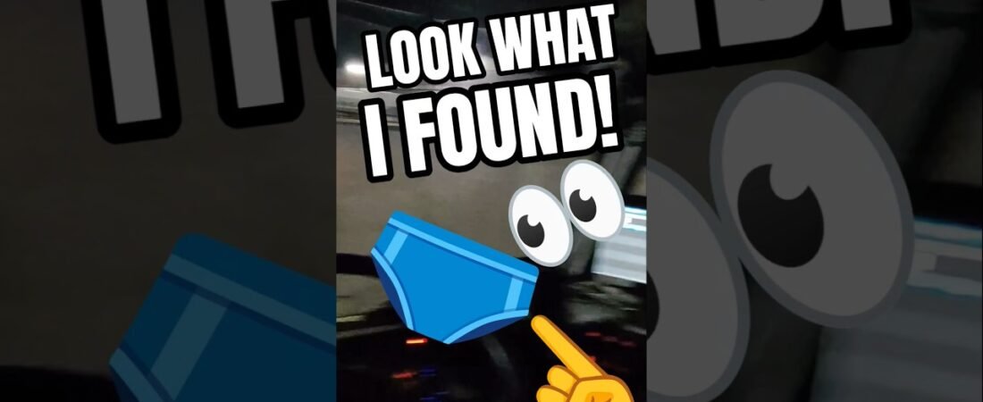 LOOK WHAT I FOUND OUT HERE JUST LAYING ON THE GROUND FOR FREE!