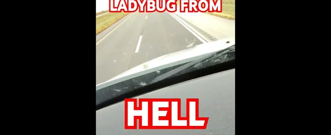 Ladybug From Hell @ High Speed! This thing will stop at nothing to get me.