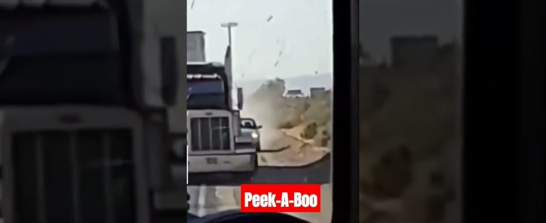 Look What I Can Do! Trucker Bro’s out there having a great time messing with 4 wheelers.