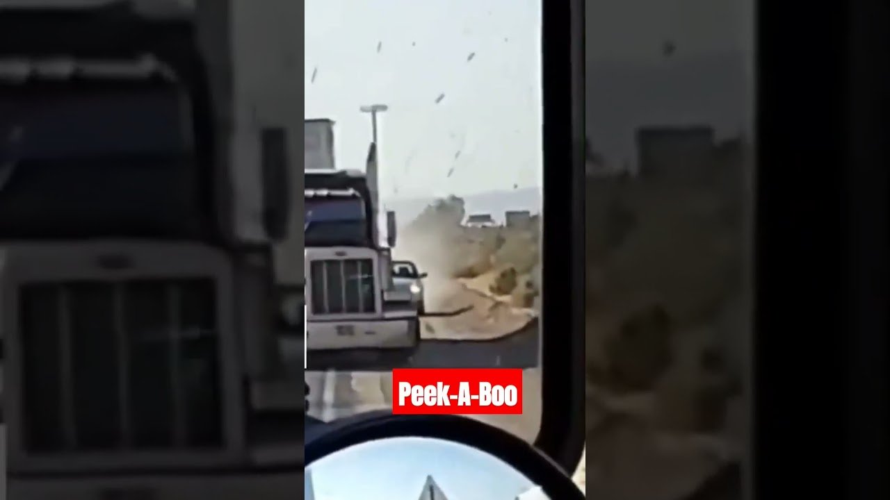 Look What I Can Do! Trucker Bro’s out there having a great time messing with 4 wheelers.