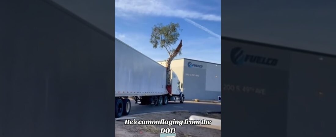 MossyOak Camouflage for your Semi Truck. This stuff just works!