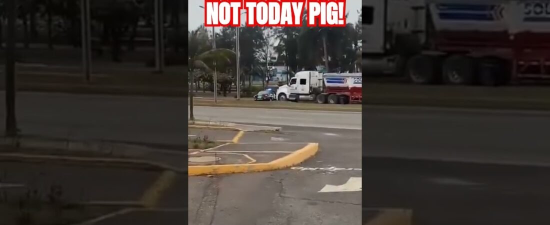 NOT TODAY PIG!  like only a truck driver can say it.