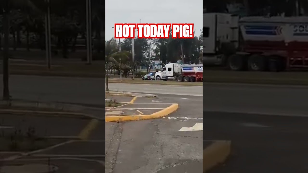 NOT TODAY PIG!  like only a truck driver can say it.