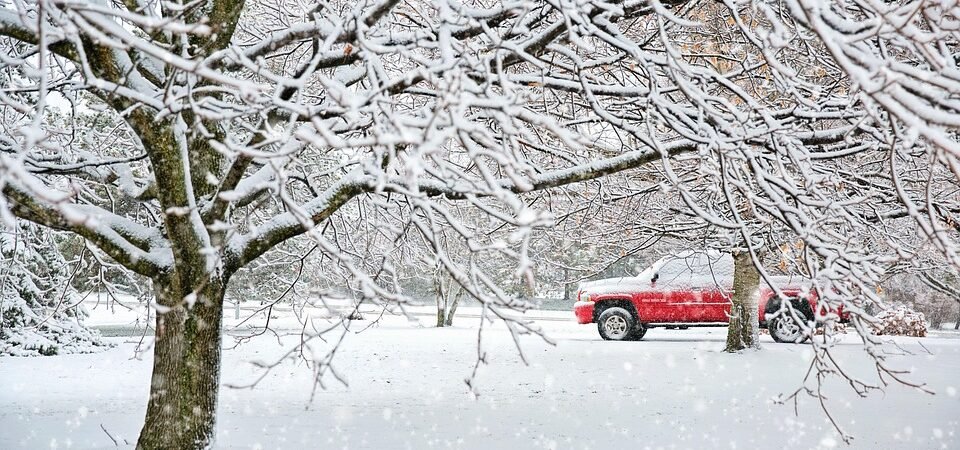 Navigating the Road to Success: A Comprehensive Guide to Life as a Company Truck Driver in the U.S.
