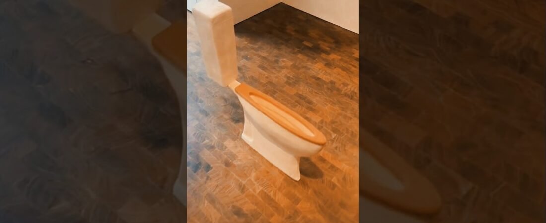 New Toilet for my Big Rig. This better fit!