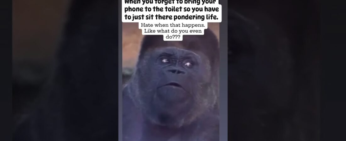 Nobody wants to ponder life. We just want to swipe!