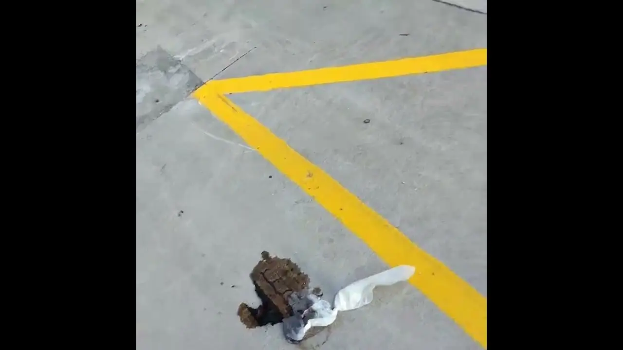 “OH LOOK!!.. What’s in the bag??” Welcome to the NEW America. Wrong answers only.