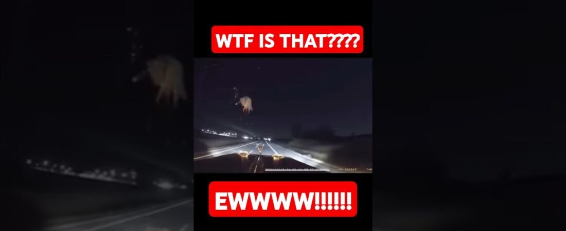 OH MAN! WAS THAT IT’S HEAD POPPING OFF LIKE THAT? NO WAY DID I JUST SEE THAT!