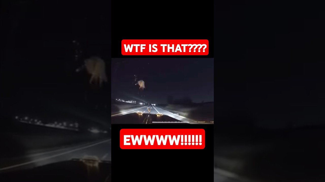OH MAN! WAS THAT IT’S HEAD POPPING OFF LIKE THAT? NO WAY DID I JUST SEE THAT!