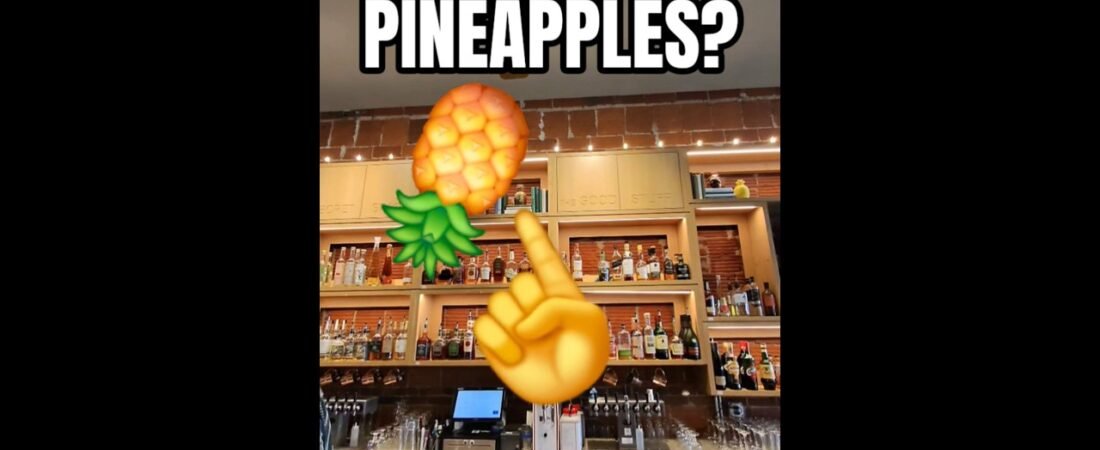 PINAPPLES ARE FOR PERVERTS? WHY ARE THEY UP THERE? WHAT DID I WALK INTO? What’s a Swinger?