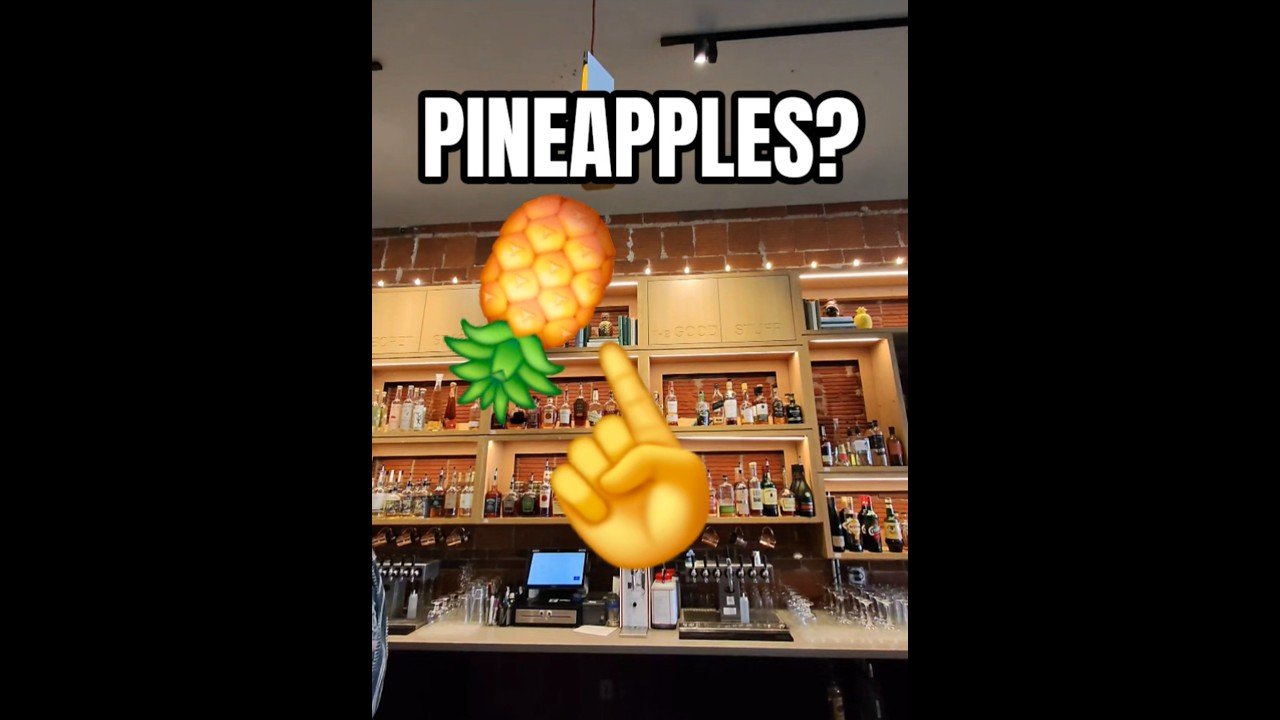 PINAPPLES ARE FOR PERVERTS? WHY ARE THEY UP THERE? WHAT DID I WALK INTO? What’s a Swinger?
