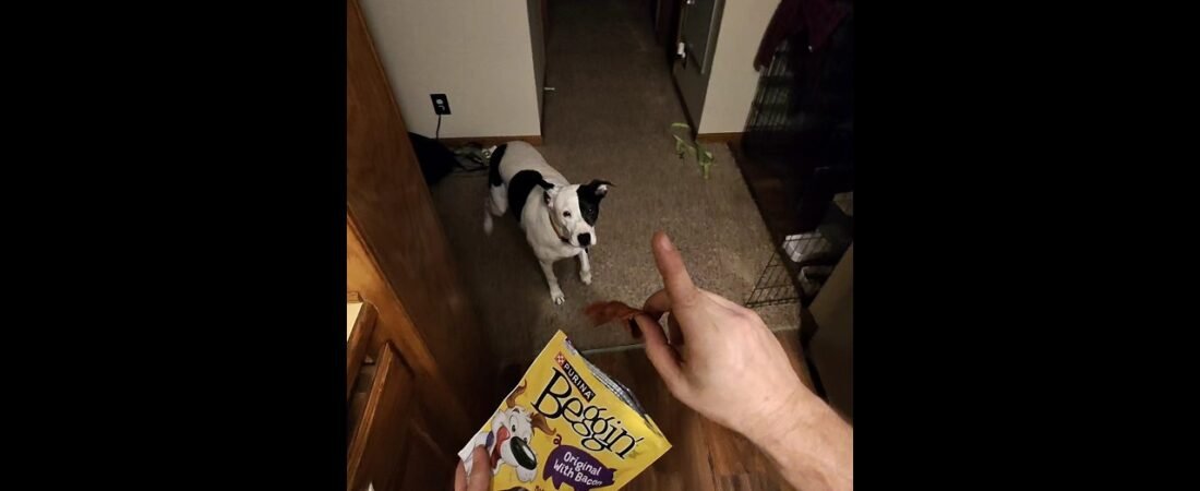 PUPPY DESERVES THE WHOLE BAG! SHES BEEN THROUGH SOME ISH! TRUCKERS BEST FRIEND.