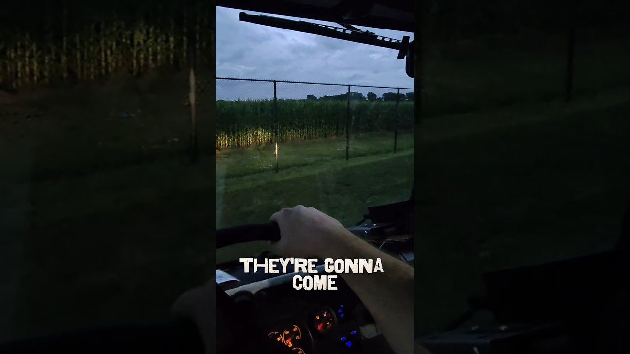 Part 1. THEY ARE WATCHING ME AT NIGHT! I’LL PROVE THAT I’M NOT CRAZY, DRIVER!