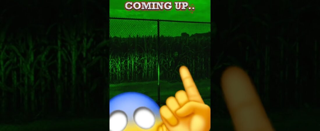 Part 2. THEY ARE WATCHING ME AT NIGHT. I GOT THEM ON CAMERA! I’M NOT CRAZY. YOU HAVE TO SEE THIS!
