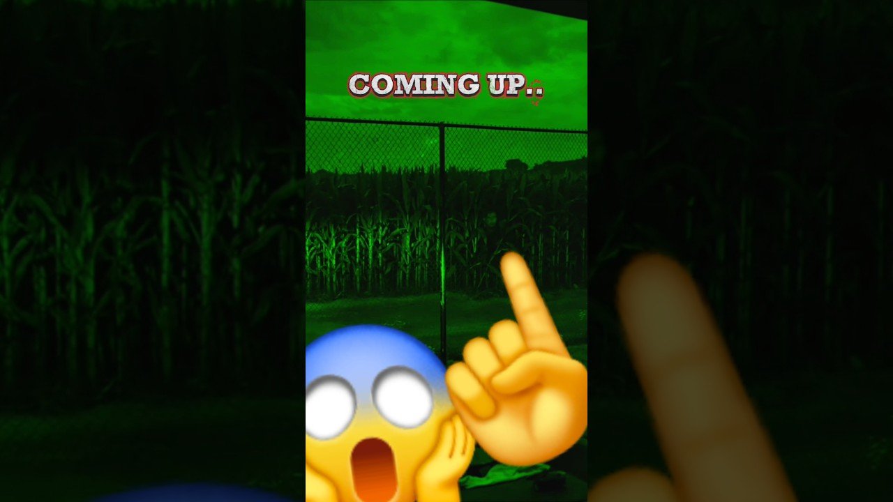 Part 2. THEY ARE WATCHING ME AT NIGHT. I GOT THEM ON CAMERA! I’M NOT CRAZY. YOU HAVE TO SEE THIS!