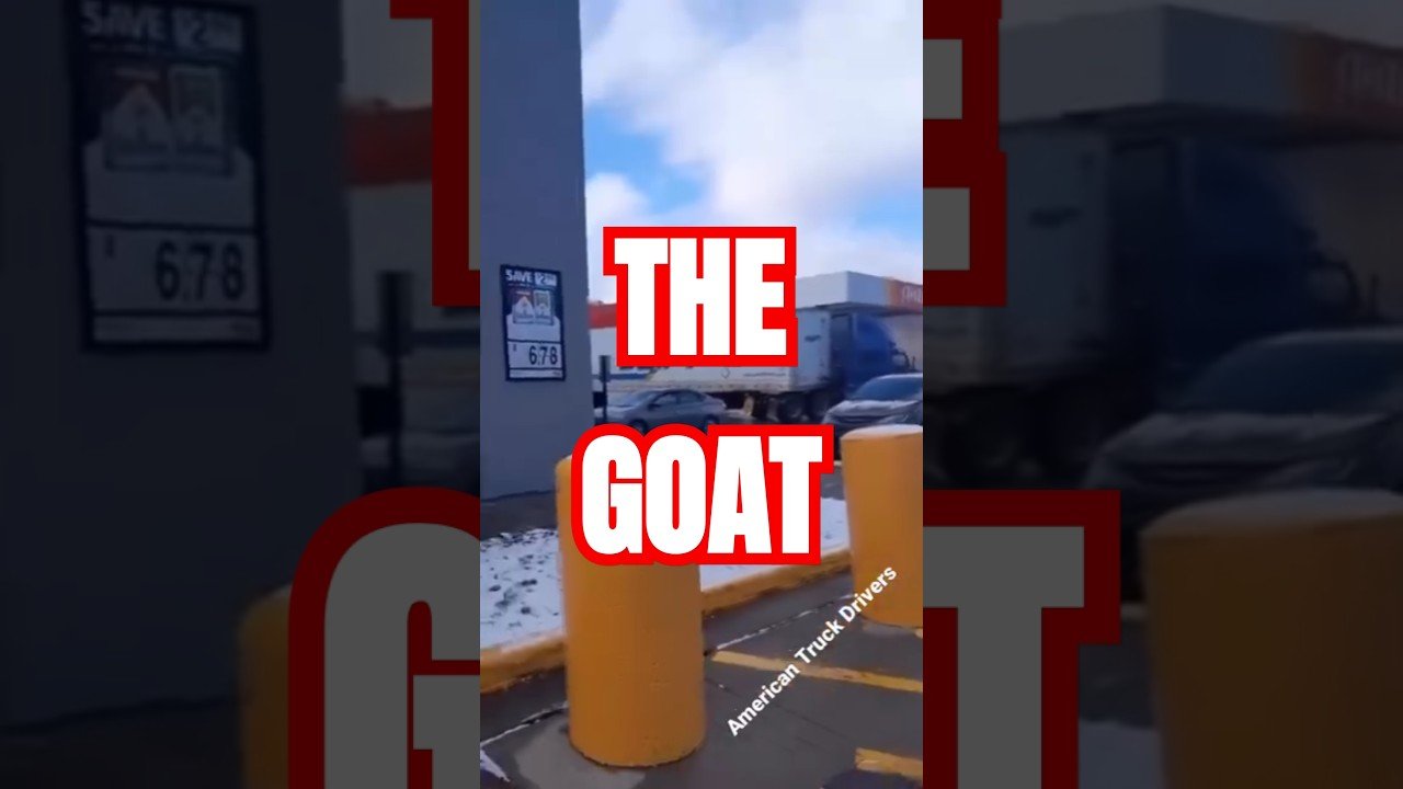 Poor Life Choices aren’t always a bad thing. It’s all how you look at it. #thegoat #trucker #swift