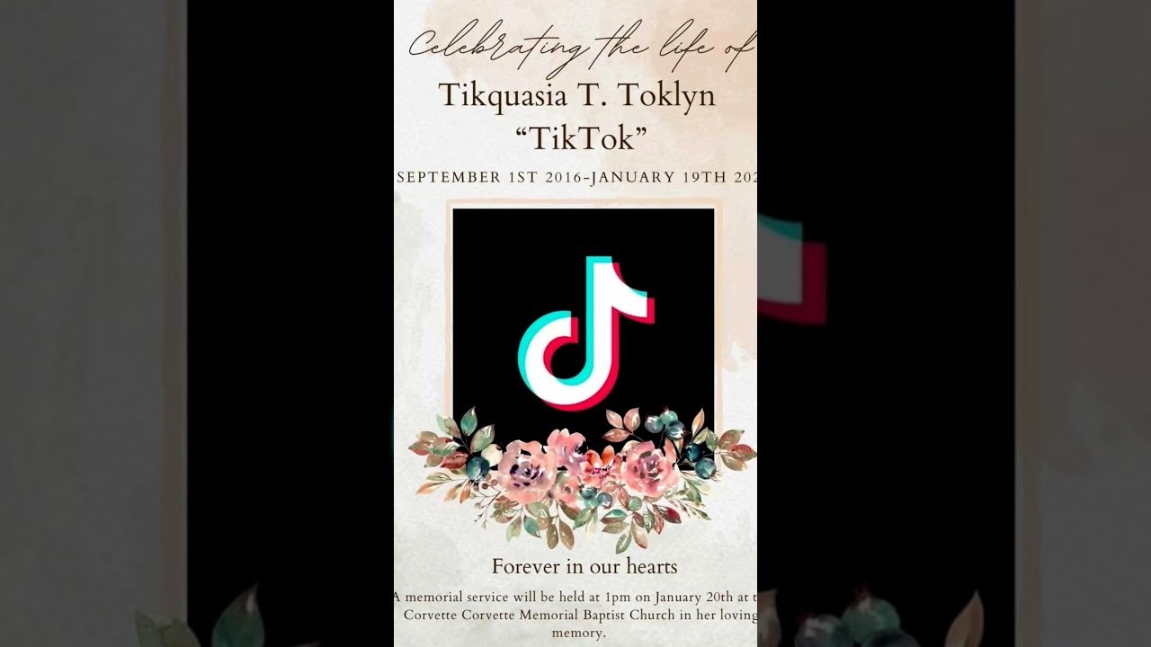 Rest in peace TikTok. Or at least let us all watch you cry until Big T brings it back.