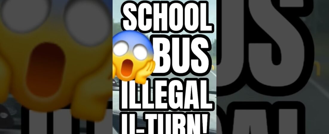 SCHOOL BUS ILLEGAL U-TURN FULL OF CHILDREN AND BABIES AND PUPPIES!