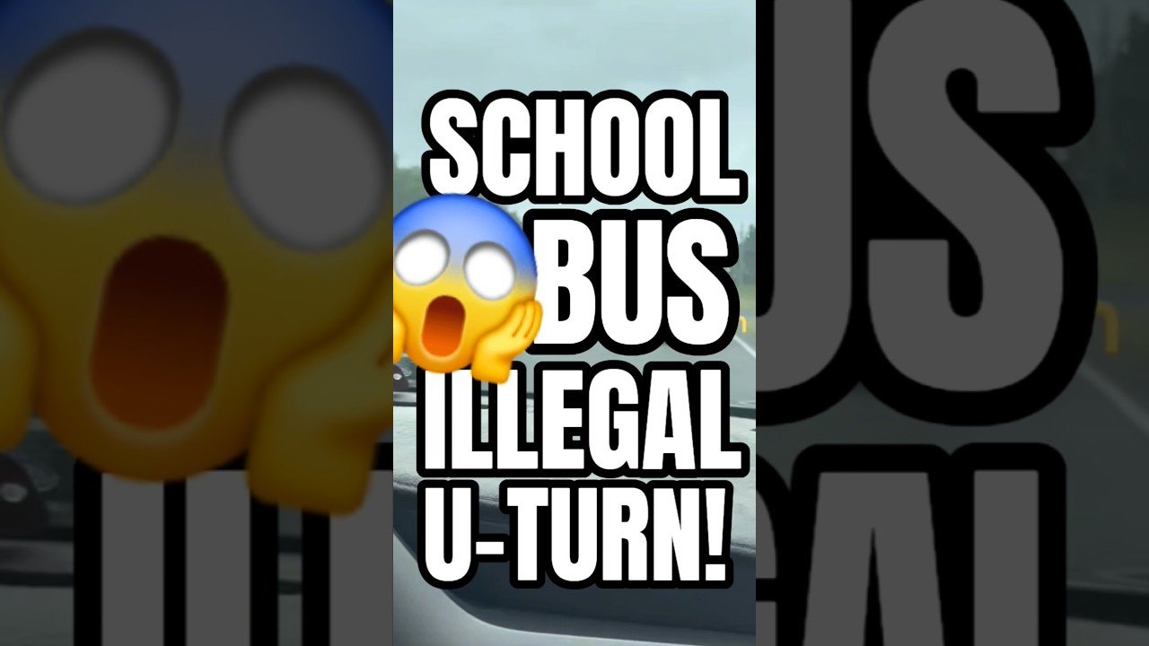 SCHOOL BUS ILLEGAL U-TURN FULL OF CHILDREN AND BABIES AND PUPPIES!