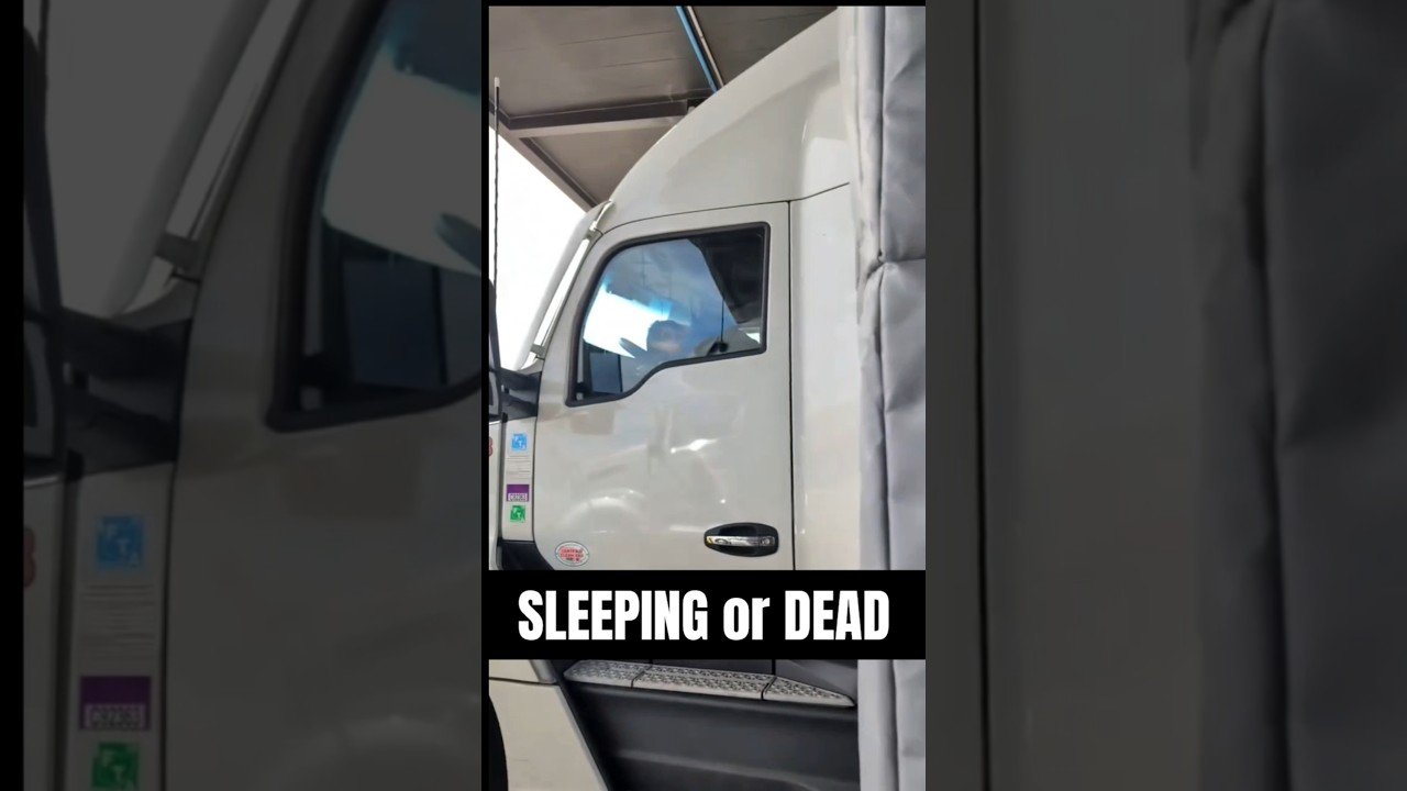 SLEEPING or DEAD – Fun New Trucker Game!