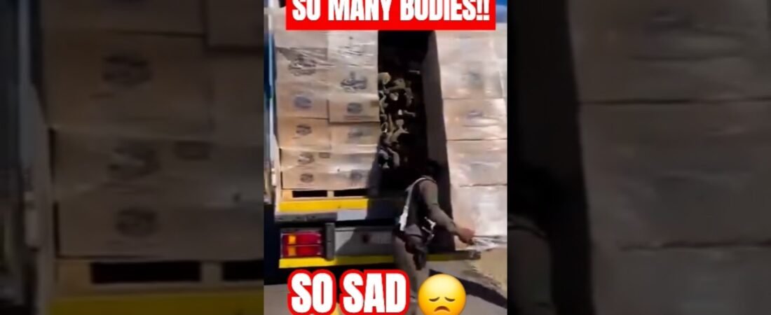 SMUGGLER BUSTED WITH 100’S OF DEAD BODIES. You won’t be the American after seeing how cruel she is.