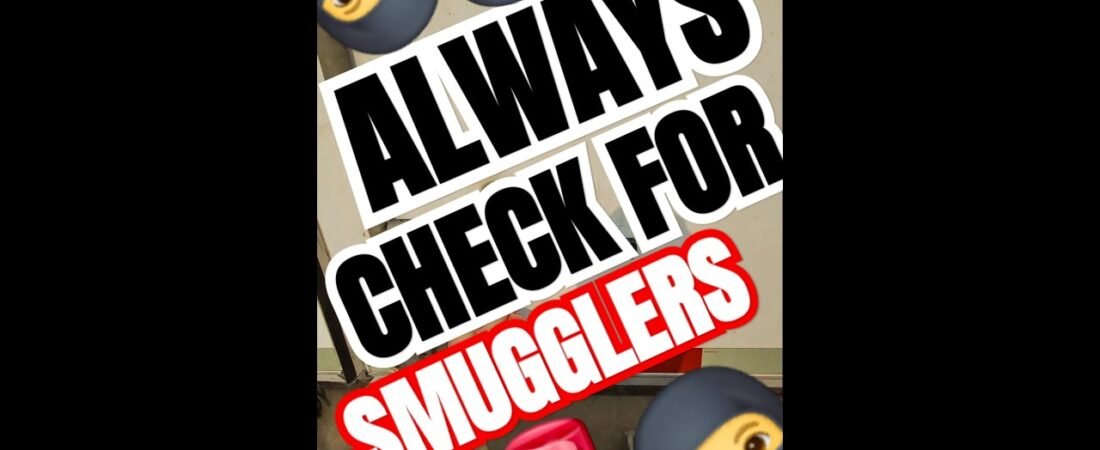 SMUGGLERS ARE EVERYWHERE. YOU HAVE TO PROTECT YOURSELF, DRIVER!