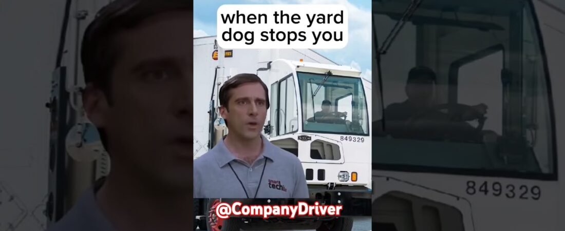 Shots fired! Let’s see how yard dogs respond to this!