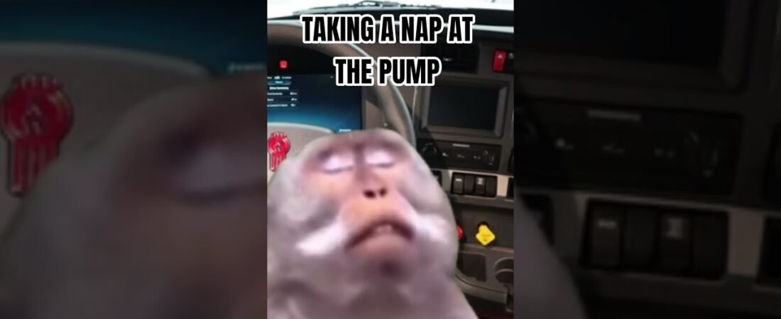 TAKING A QUICK NAP AT THE PUMP CAN IMPROVE YOUR MENTAL HEALTH.
