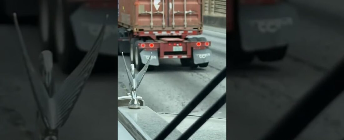 TERRIFIC TRAILER TWERKING DANCE PARTY!