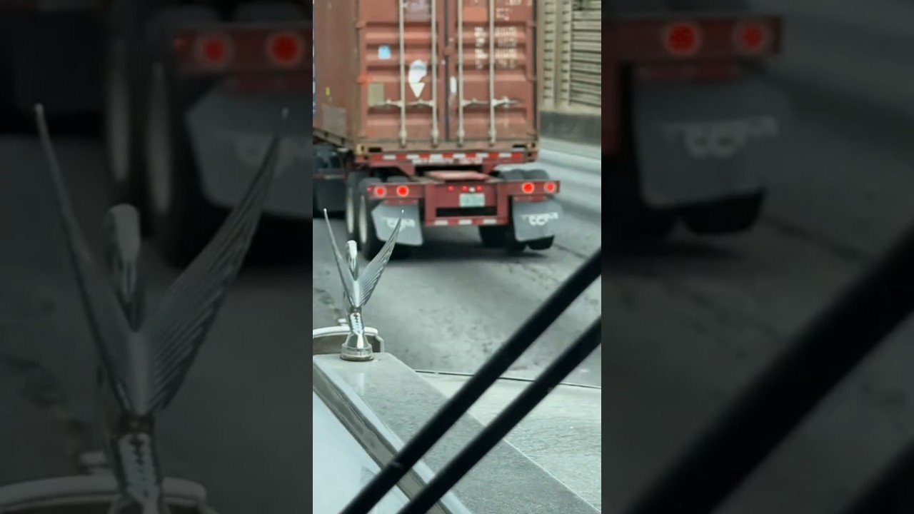 TERRIFIC TRAILER TWERKING DANCE PARTY!