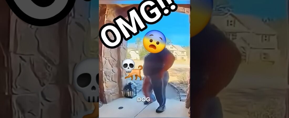 THAT’S NOT A DOG, THAT’S A MONSTER!!