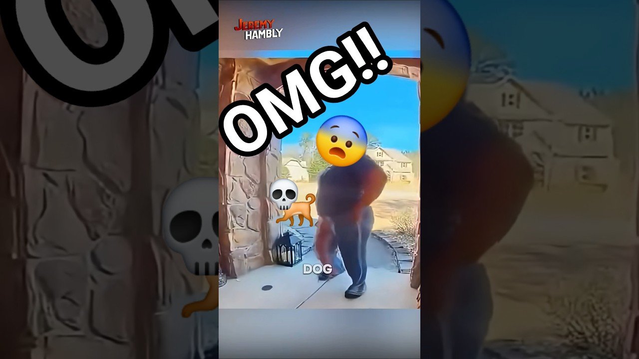 THAT’S NOT A DOG, THAT’S A MONSTER!!