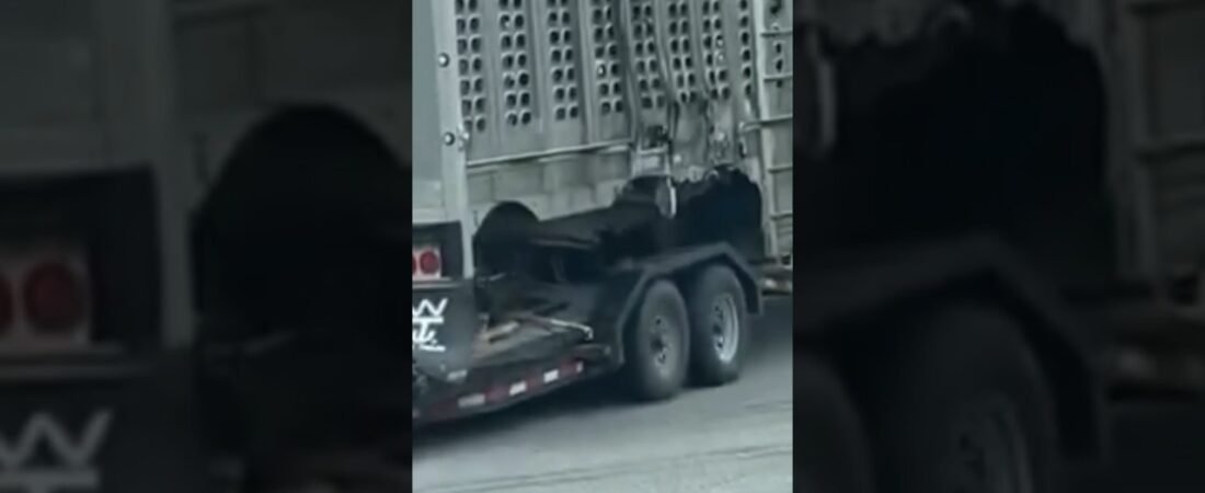 THAT’S NOT HOW THIS WORKS DRIVER! WHO TOUGHT YOU THAT?