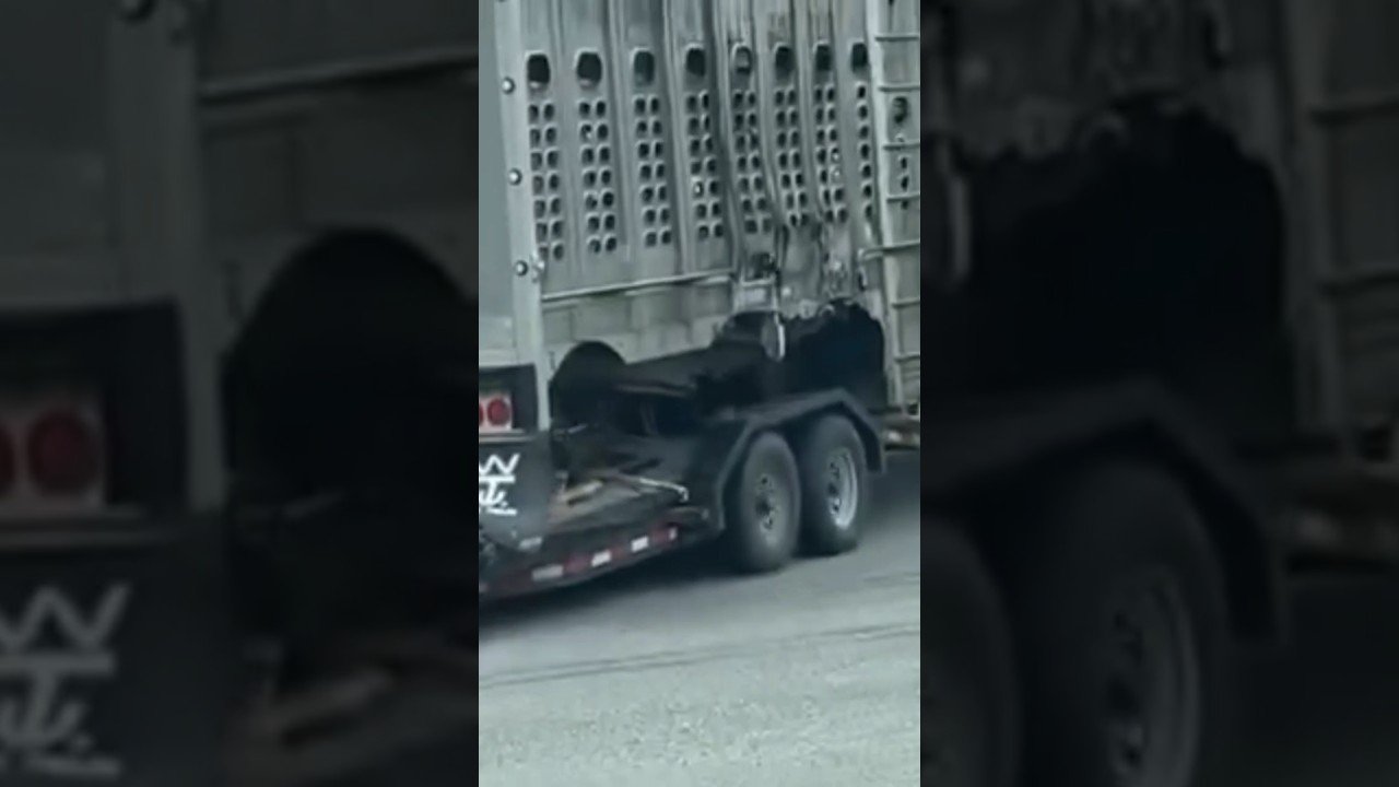 THAT’S NOT HOW THIS WORKS DRIVER! WHO TOUGHT YOU THAT?