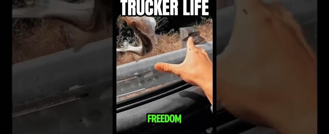 THE LIFE OF AN AMERICAN TRUCKER. #FREEDOM #TRUCKER #AMERICA