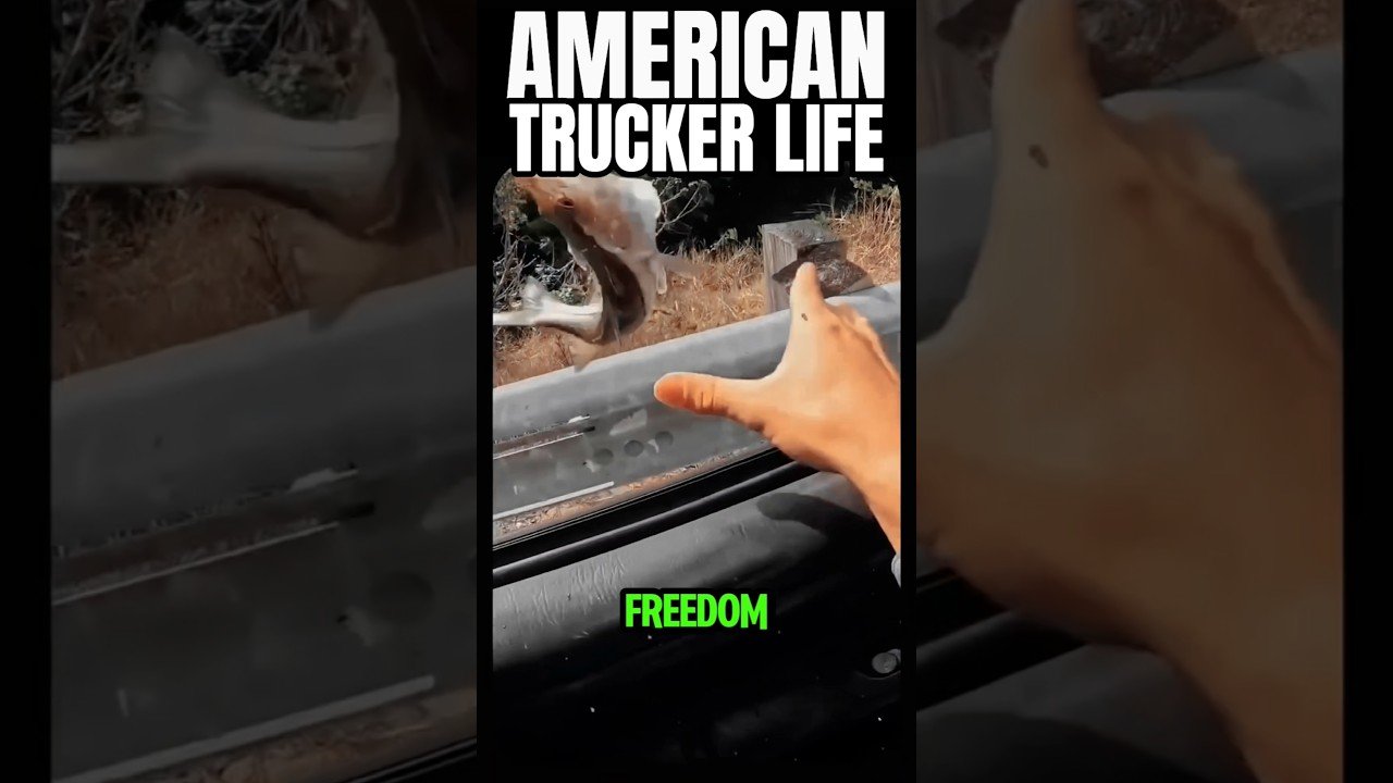 THE LIFE OF AN AMERICAN TRUCKER. #FREEDOM #TRUCKER #AMERICA