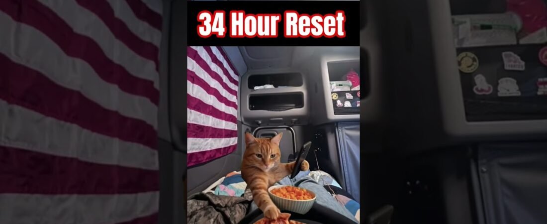 THE PURRFECT 34 HOUR RESET!