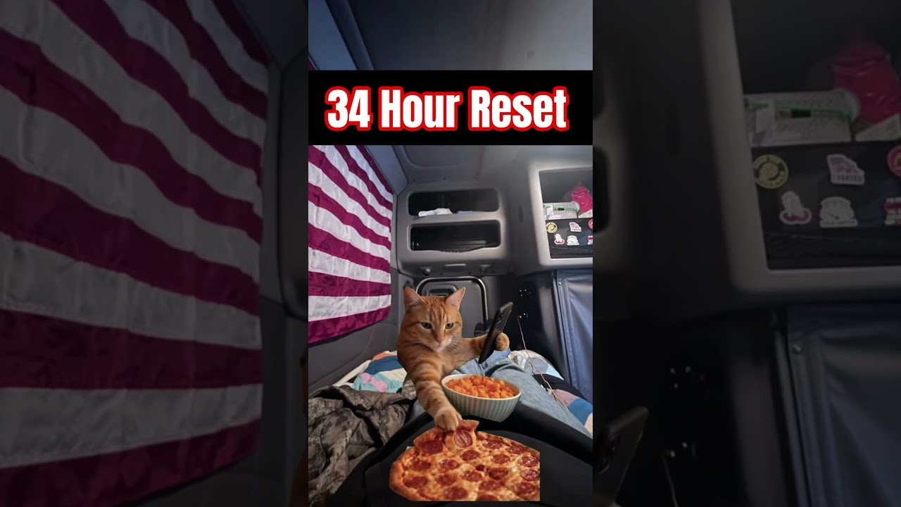 THE PURRFECT 34 HOUR RESET!