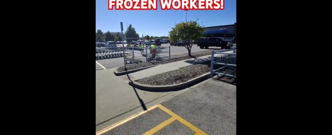 THEY ARE FROZEN! They didn’t speak any English and they didn’t move.