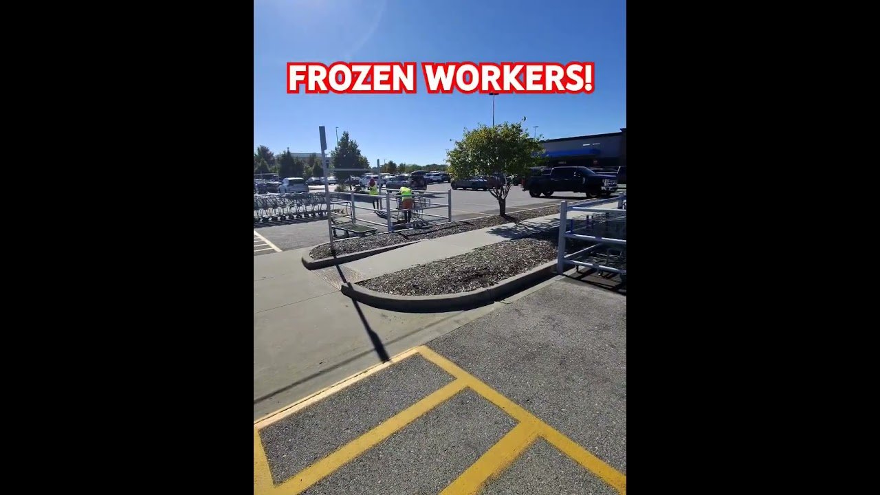 THEY ARE FROZEN! They didn’t speak any English and they didn’t move.